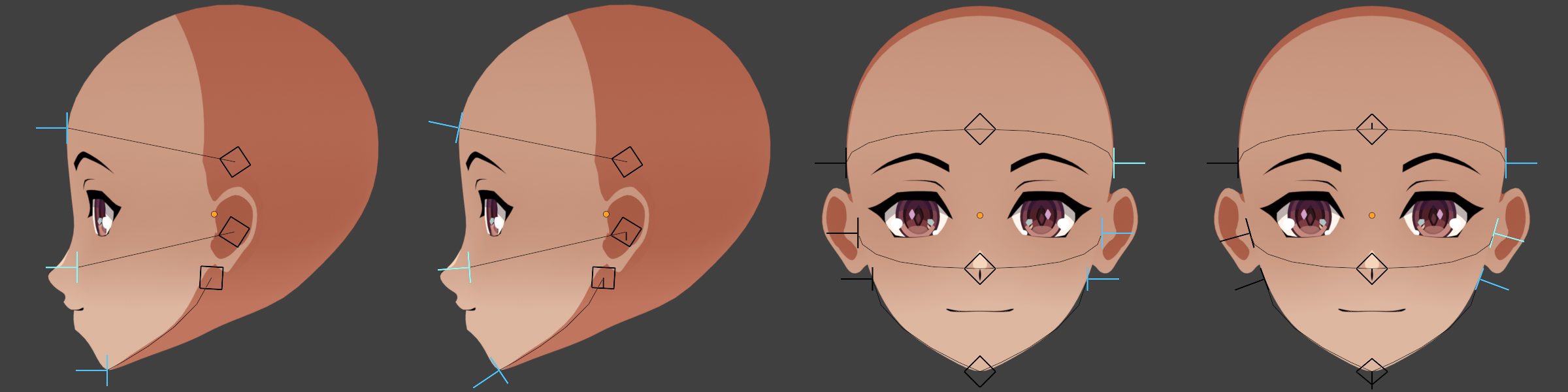 Normal bones alignment